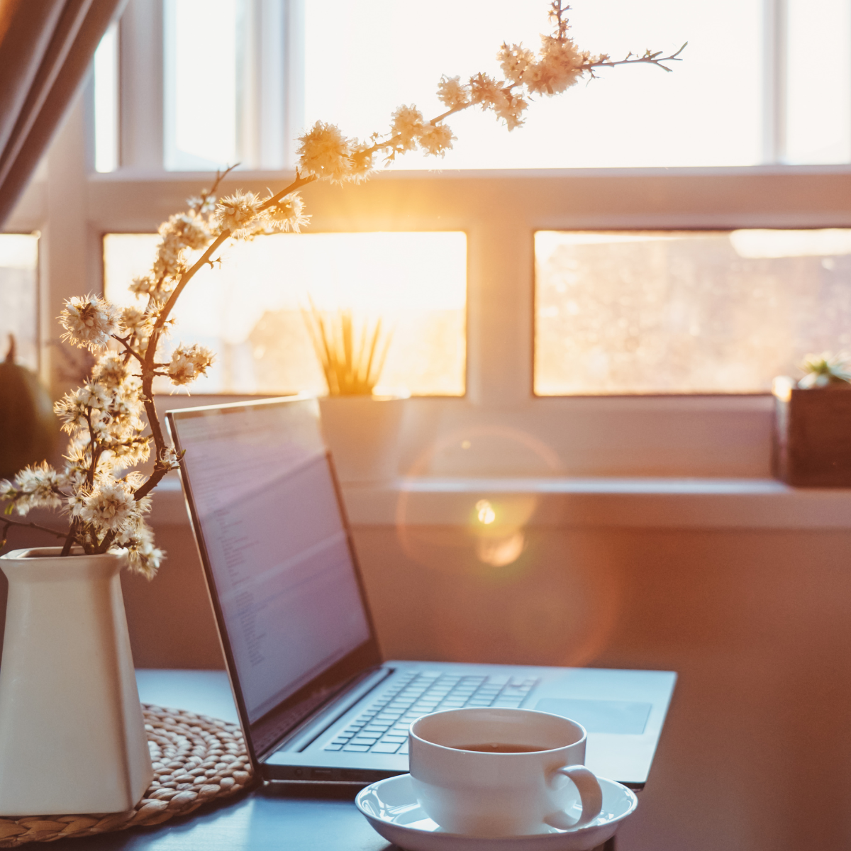 Professional workspace